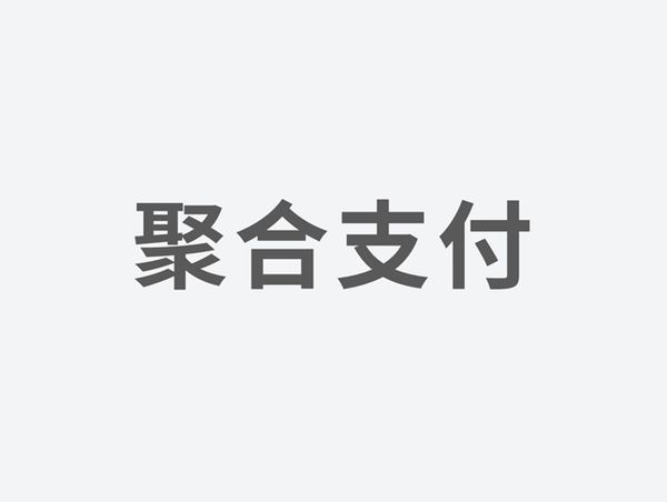 聚合支付文字图片